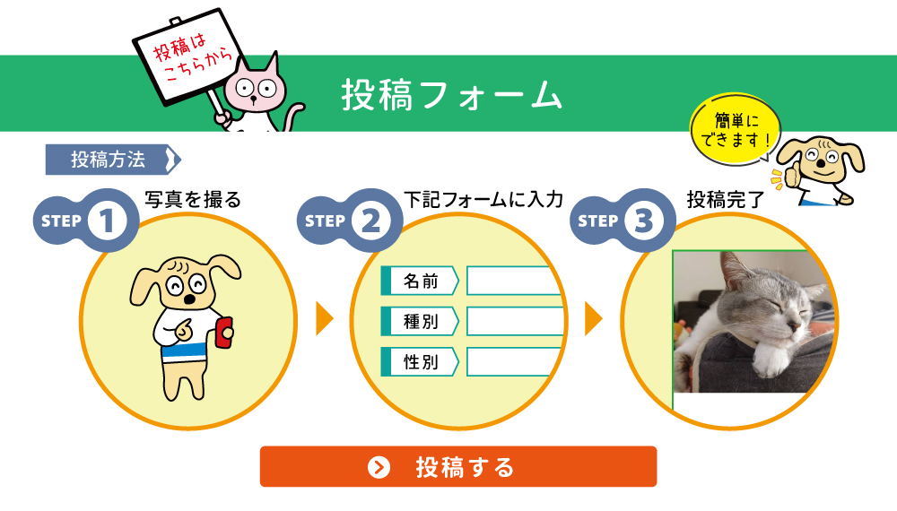 投稿方法[STEP1]写真を撮る[STEP2]下記フォームに入力[STEP3]投稿完了